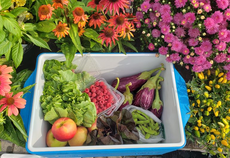 organic food farmers market co-op in cooler