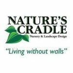 Nature's Cradle Nursery